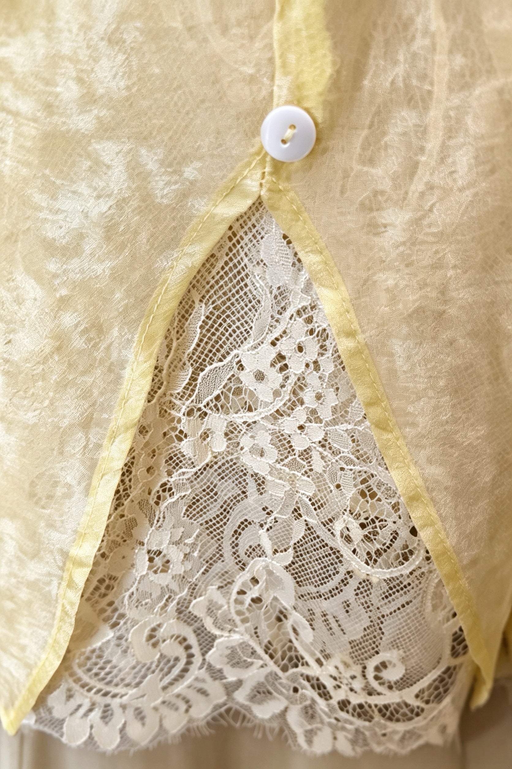 Blusa Transparente con Encaje